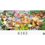 3D Picture Cute Cats