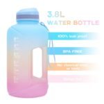 3.8L Drink Bottle
