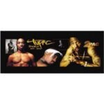 Canvas 120x50cm 2pac