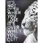 Canvas 42x 57cm It's Not Over