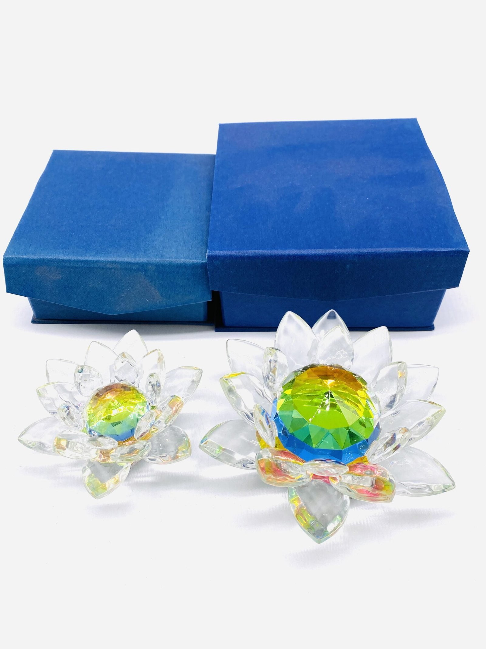 IMG_2310-scaled-1.jpg Crystal Rainbow Lotus - Image 1