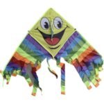 Kite Insect Rainbow 47cm