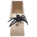Wooden Spider Box - Image 7