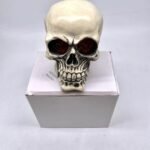 Skull Large with Light K270