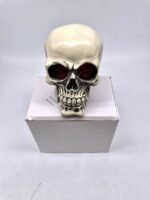 Skull Large with Light K270