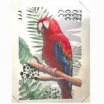 Canvas 42x57cm Parrot