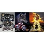 3D Picture Wolf with Harley Davidson Biker
