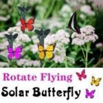 Solar Flying Butterfly