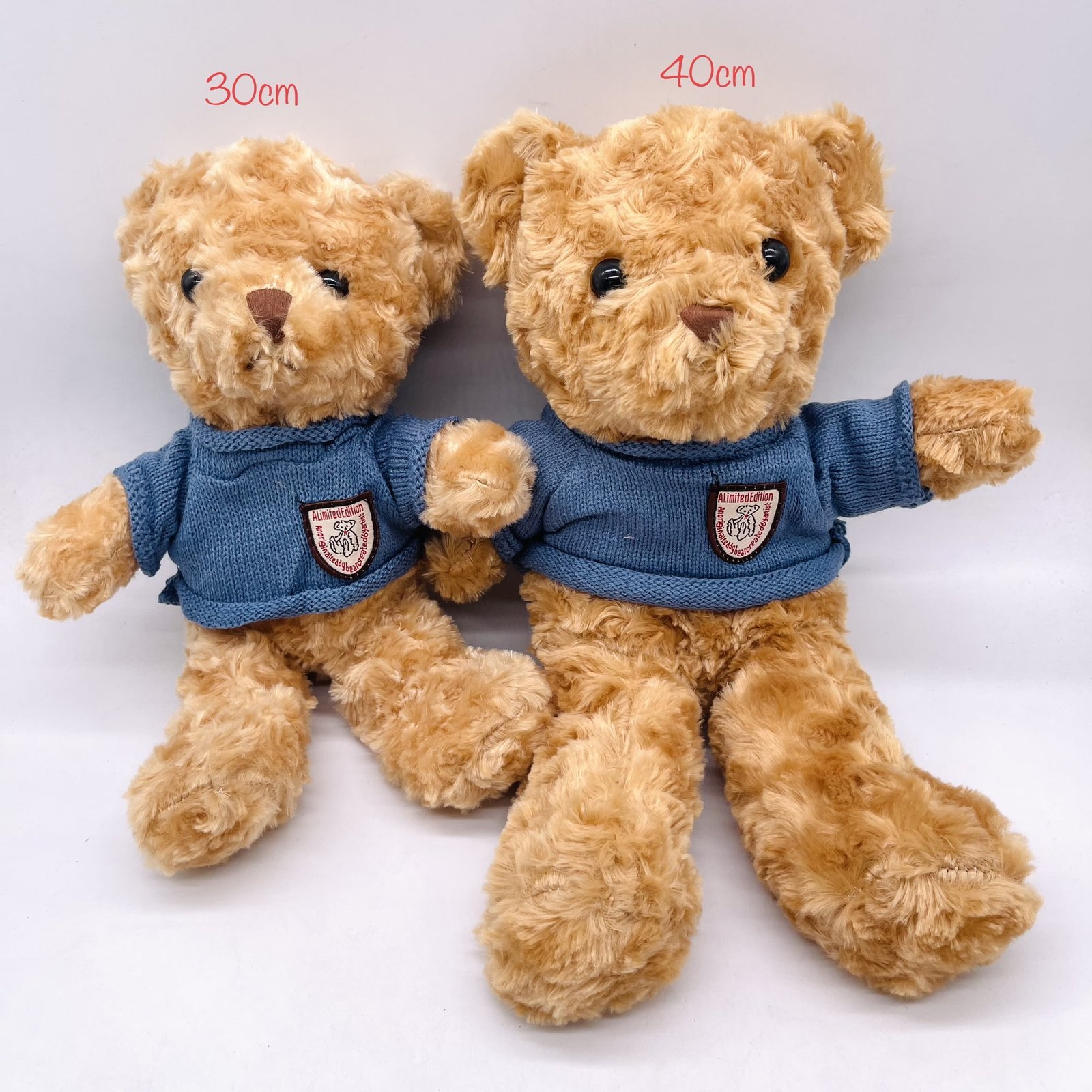 相片-5-10-2023-下午3-17-31.jpg Plush Toy Teddy Bear (10pcs in pack) - Image 1